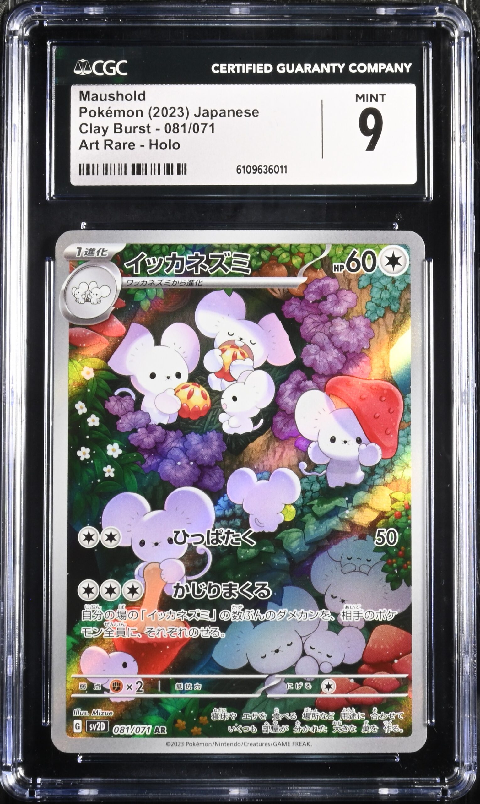 CAR6109636-011_OBV CGC 9 Maushold AR SV2D #081 Clay Burst - buy in Singapore | Cardian