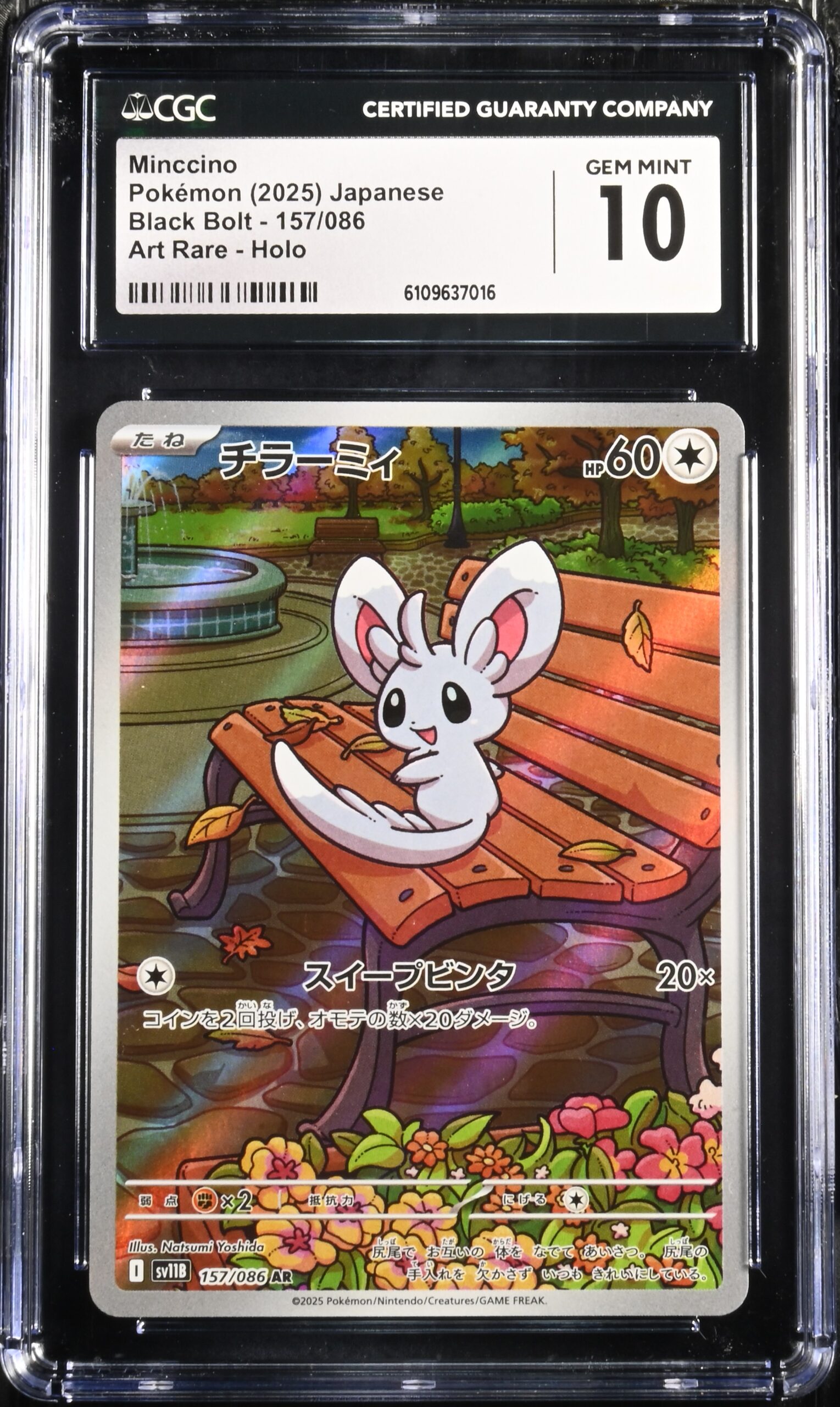 CAR6109637-016_OBV CGC 10 Minccino Sv11B 157 - buy in Singapore | Cardian